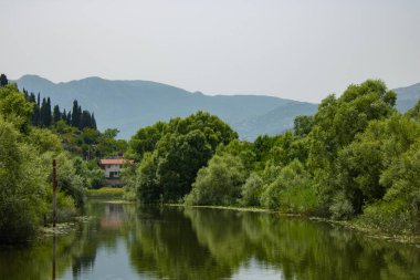 Resimli nehirdeki yaz manzarası. Güzel, yeşil ve bereketli bir sahil. Suyun yakınındaki ağaçlar ve bitkiler. Doğal parkın manzarası. Arka planda dağlar ve mavi gökyüzü.