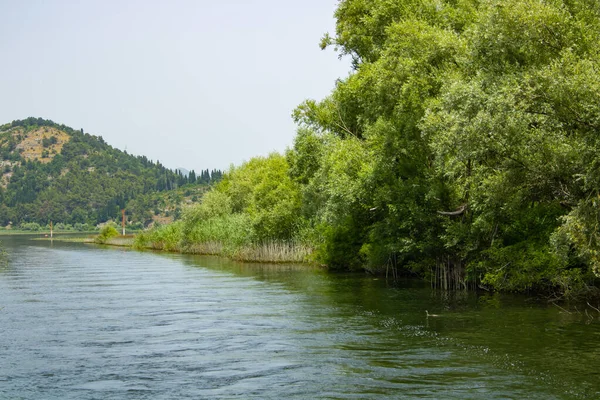 Letní Pohled Malebnou Řeku Krásný Zelený Svěží Břeh Stromy Rostliny — Stock fotografie