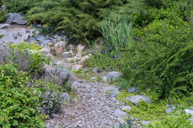 Manzara tasarımında doğal taş uygulaması. Bahçedeki taş patikada çalılar, ağaçlar, çiçekler. Bahçe işlerinde manikürlü güzel bitkiler. Kamu parkındaki dış manzaraya bak. Örnek tasarımcılar.