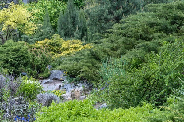 Aplicação Pedra Natural Projeto Paisagem Caminho Pedra Jardim Com Arbustos — Fotografia de Stock