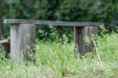 Bahçede boş bir ahşap ev stili bank. Yuvarlak kütüklerdeki ahşap koltuklar el yapımı. Ağaç kütüğünden yapılmış bahçe mobilyaları.
