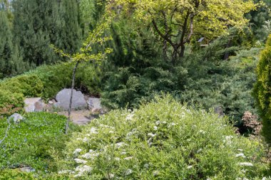 Manzara tasarımında doğal taş uygulaması. Bahçedeki taş patikada çalılar, ağaçlar, çiçekler. Bahçe işlerinde manikürlü güzel bitkiler. Kamu parkındaki dış manzaraya bak. Örnek tasarımcılar.