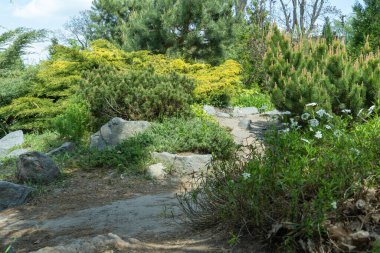Manzara tasarımında doğal taş uygulaması. Bahçedeki taş patikada çalılar, ağaçlar, çiçekler. Bahçe işlerinde manikürlü güzel bitkiler. Kamu parkındaki dış manzaraya bak. Örnek tasarımcılar.