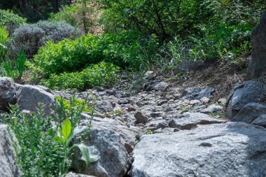 Manzara tasarımında doğal taş uygulaması. Bahçedeki taş patikada çalılar, ağaçlar, çiçekler. Bahçe işlerinde manikürlü güzel bitkiler. Kamu parkındaki dış manzaraya bak. Örnek tasarımcılar.