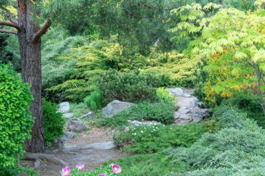 Manzara tasarımında doğal taş uygulaması. Bahçedeki taş patikada çalılar, ağaçlar, çiçekler. Bahçe işlerinde manikürlü güzel bitkiler. Kamu parkındaki dış manzaraya bak. Örnek tasarımcılar.