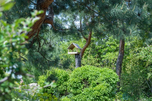 Wooden Bird Feeder Tree Park Green Firtrees Fresh Leaves Handmade — Stock Photo, Image
