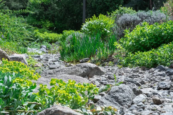 Aplicação Pedra Natural Projeto Paisagem Caminho Pedra Jardim Com Arbustos — Fotografia de Stock