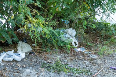 Ormandaki çöplük çimlere saçılmış. Piknikten sonra ormanda plastik çöp. İnsanlar yasadışı olarak çöp atıyor. Çevre koruma ile ilgili dünya ekolojisi problemi. Doğadaki çöp yığını.