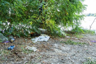 Ormandaki çöplük çimlere saçılmış. Piknikten sonra ormanda plastik çöp. İnsanlar yasadışı olarak çöp atıyor. Çevre koruma ile ilgili dünya ekolojisi problemi. Doğadaki çöp yığını.