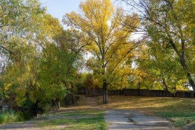 Autumn colors in sunny day in city park. Pathway among stone fence and trees with yellow leaves. Landscape golden foliage and plants. Fallen leafs on the ground. Autumn reflections. Fall bright.