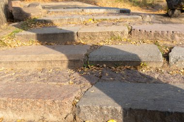 Shadows on old stone steps in autumn. Dark and light stripes staircase in steps among yellow foliage. Footpath nature among trees with golden leaves. Way outdoors.