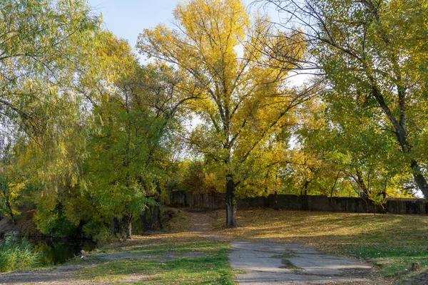 Autumn Colors Sunny Day City Park Pathway Stone Fence Trees — Stockfoto