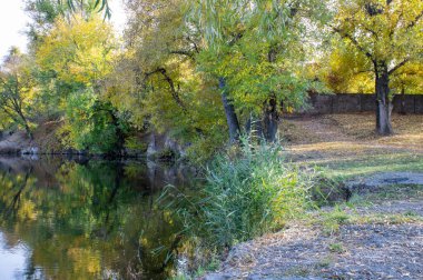 Autumn colors in sunny day on lake in city park. Landscape golden foliage and reflection of trees in calm water. Colorful plants on stone bank of pond. Autumn reflections. Fall bright. Beauty in natur