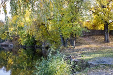 Autumn colors in sunny day on lake in city park. Landscape golden foliage and reflection of trees in calm water. Colorful plants on stone bank of pond. Autumn reflections. Fall bright. Beauty in natur