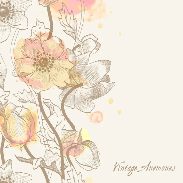 Anemone background Royalty Free Stock Illustrations