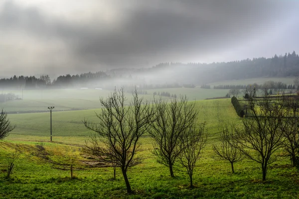 Neblina otoñal en el prado — Foto de Stock