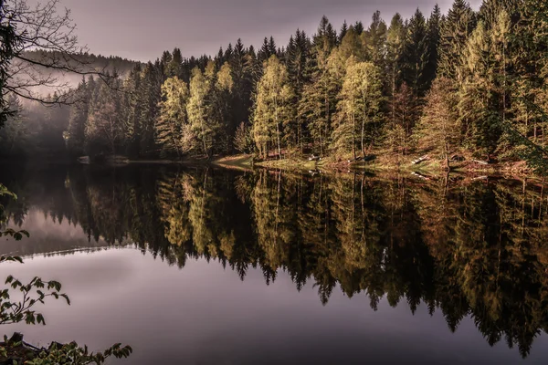 Bäume spiegeln sich im Wasser — Stockfoto