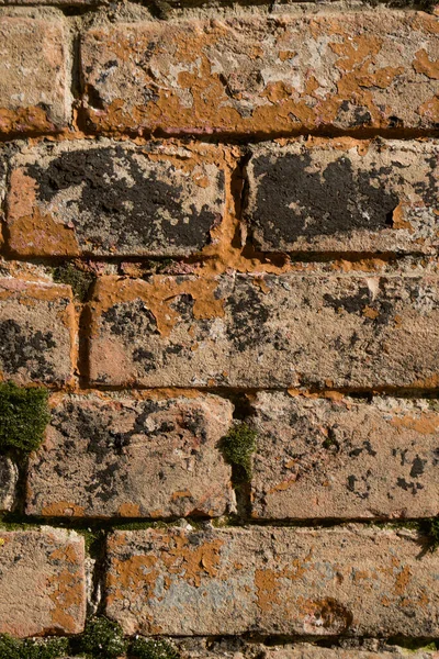 Brick Wall Close Wall Light Bricks Photo Can Used Photo — Stockfoto