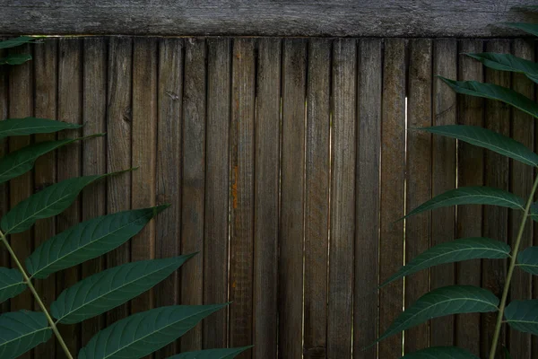 Cerca Madeira Velha Tábuas Velhas Close Primeiro Plano São Grandes — Fotografia de Stock