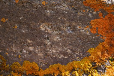 Kenarlarında turuncu liken bulunan eski bir dağ kayasının dokusu. Güzel doğal doku. Yakın plan. mesaj için yer. Fotofon ve arkaplan için uygun