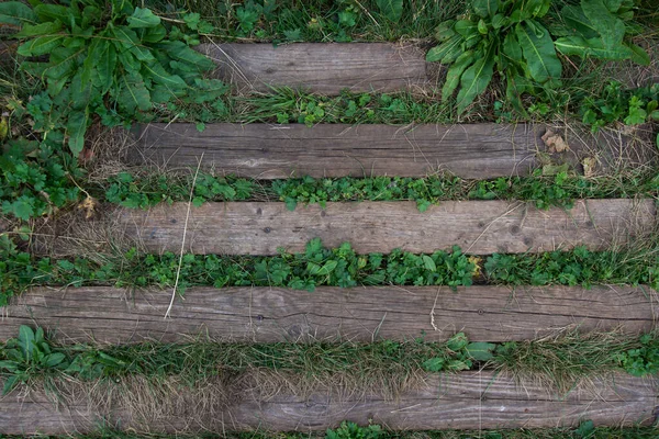 Vieilles Planches Posées Sur Sol Herbe Poussait Travers Les Planches — Photo