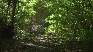 a young man in a white meek and gray shorts with headphones runs through the forest on a summer morning. the bright sun shines, hard shadows.
