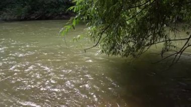 river close-up in the rays of the bright summer sun. beautiful glare on the water. Slow motion. wilderness without people