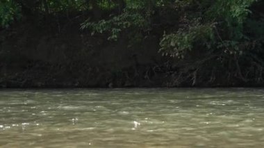 river close-up. bright rays of the sun leave beautiful glare on the water. a large stone falls into the water and raises large splashes of water. Slow motion. close-up