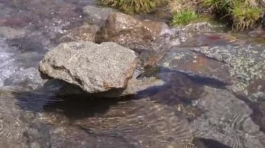 a mountain stream with clean drinking water flows over beautiful multi-colored stones. close-up. beautiful glare from the sun on the water surface