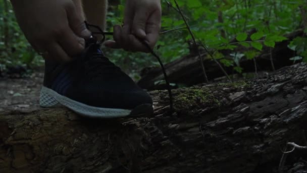 Encaje Desatado Mientras Trota Bosque Primer Plano Persona Detiene Pone — Vídeos de Stock