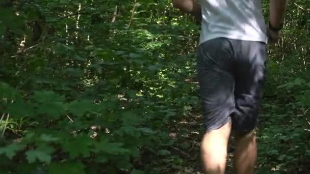 Jeune Homme Short Blanc Doux Gris Avec Écouteurs Traverse Forêt — Video