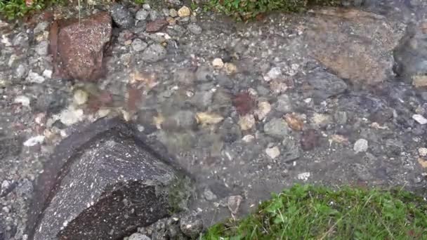一条有洁净饮用水的山溪流过美丽的多彩的石头 水面上的阳光发出美丽的光芒 — 图库视频影像