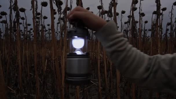 Young Man Farmer Beard Straw Hat Walks Lantern Field Dried — Vídeo de Stock