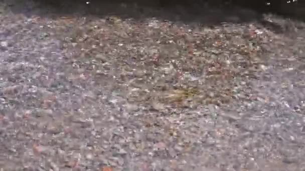 Arroyo Montaña Con Agua Potable Limpia Fluye Sobre Hermosas Piedras — Vídeos de Stock