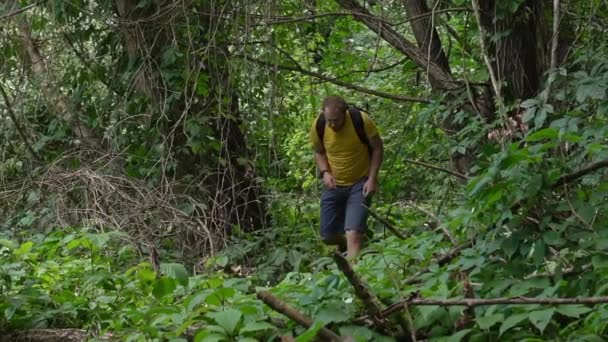 Young Man Traveler Beard Walks Forest Yellow Shirt Backpack Medium — Wideo stockowe