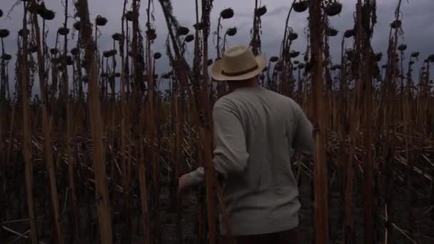 Young Man Farmer Beard Straw Hat Walks Lantern Field Dried — Stock videók