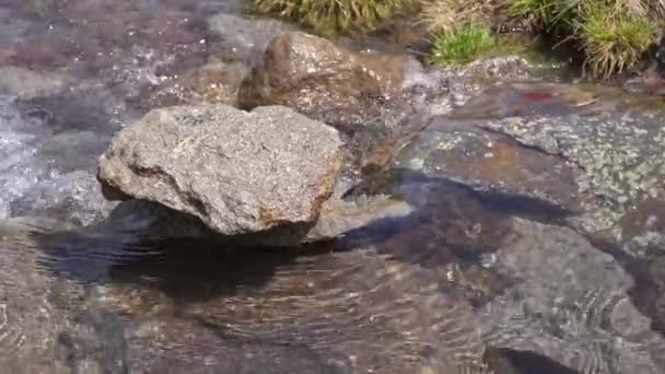 Aliran Gunung Dengan Air Minum Bersih Mengalir Atas Batu Berwarna — Stok Video