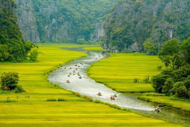 Stream inside rice fields in Tam Coc Natural Preserve, Vietnam clipart