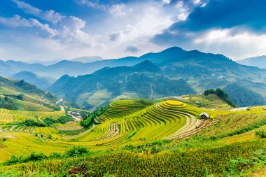 A very nice view of terraced fields under sun rays clipart