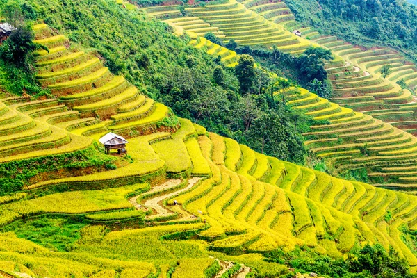 非常に素晴らしい山岳風景 — ストック写真