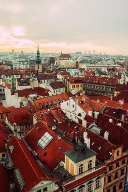 View on red roofs of down town of Prague from the City Hall