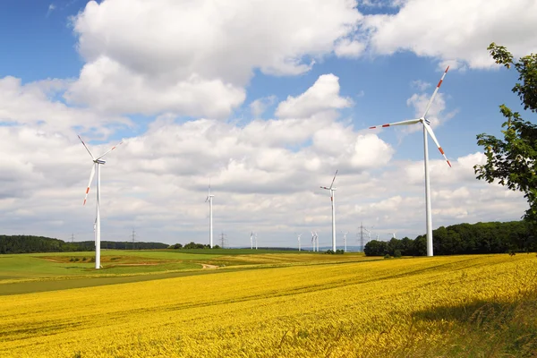 Rüzgar enerjisi ve alan tecavüz çiçekli