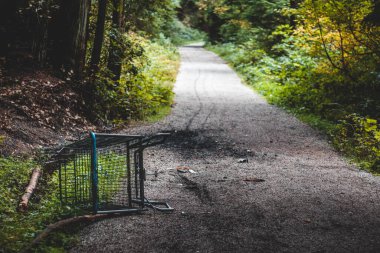 Abandoned shopping cart found on Bridle Trail in Stanley Park in Vancouver clipart