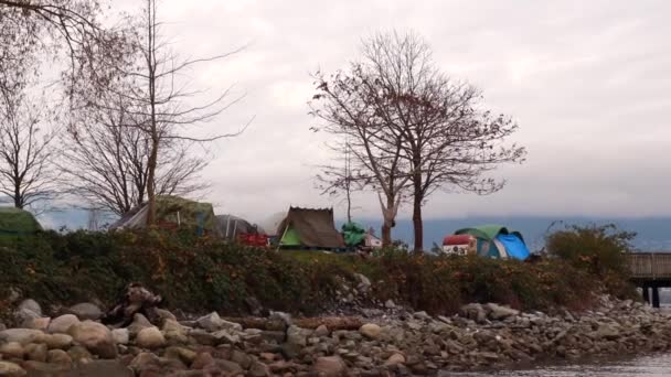 Vancouver Canada November 2021 View Crab Park Downtown Vancouver Full — Stock Video