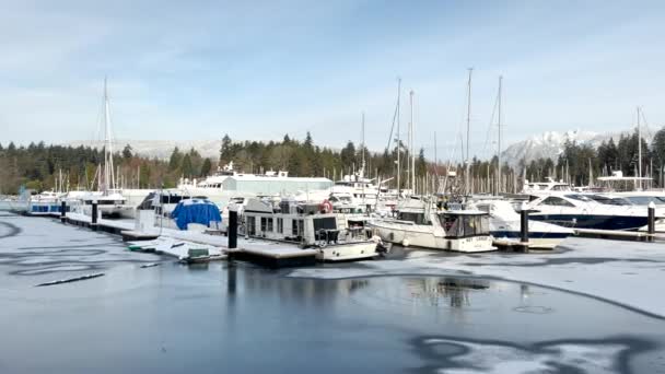 Vancouver Kanada December 2021 View Frozen Dock Boats Coal Harbour — Stock videók