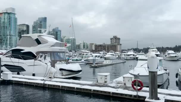 Vancouver Kanada December 2021 Utsiktsbrygga Med Båtar Täckta Snö Kolhamnen — Stockvideo