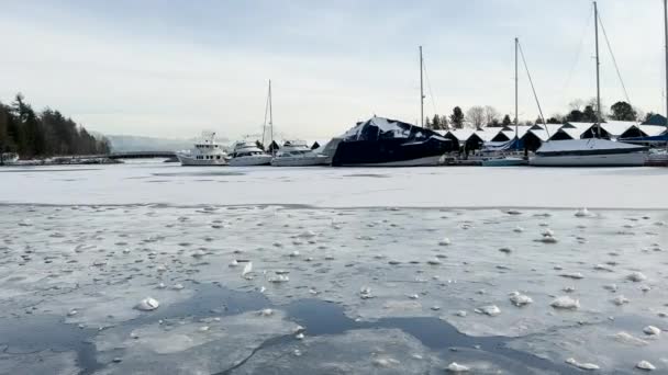 Blick Auf Ein Gefrorenes Dock Mit Booten Kohlehafen Schneesturm Und — Stockvideo