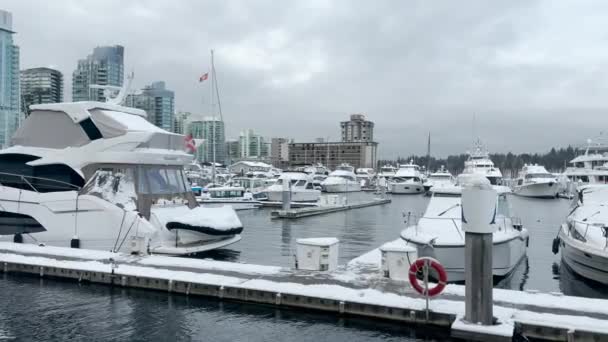 Vancouver Canadá Diciembre 2021 Muelle Con Botes Cubiertos Nieve Coal — Vídeo de stock