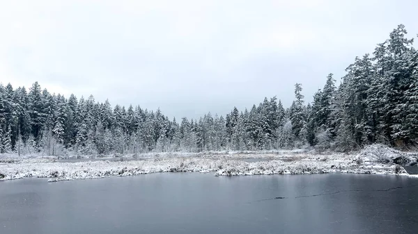 Frozen Beaver Lake Coberto Neve Stanley Park Durante Queda Neve — Fotografia de Stock