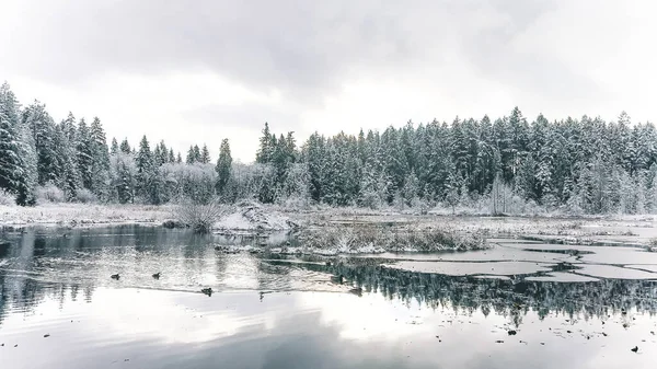Frozen Beaver Lake Covered Snow Stanley Park Snowfall Extreme Cold — Stock Photo, Image
